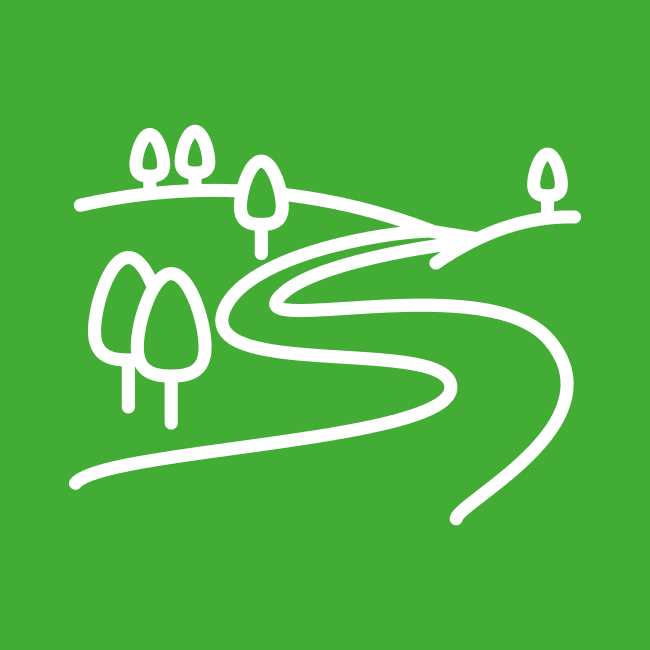 white outline of path or road and trees